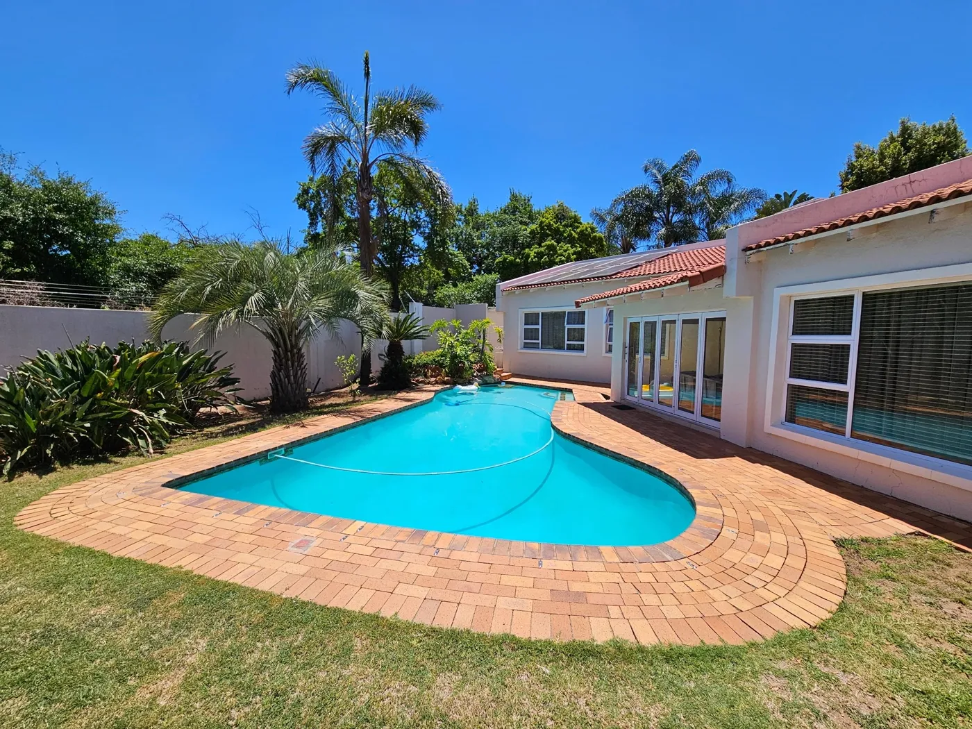 Single-storey Queensland home with a pool and palm trees